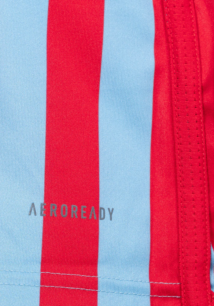 Maglia ufficiale D-POWER 2026